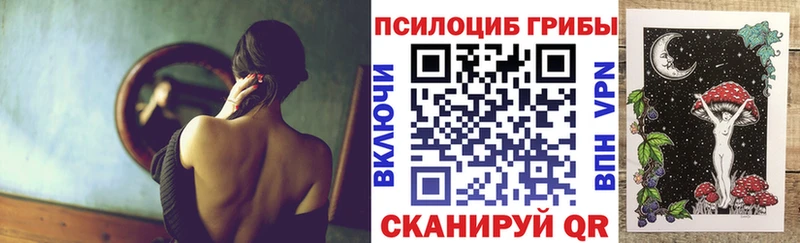 дарк нет Telegram МЕГА ссылки Плавск купить Псилоцибиновые грибы Magic Shrooms