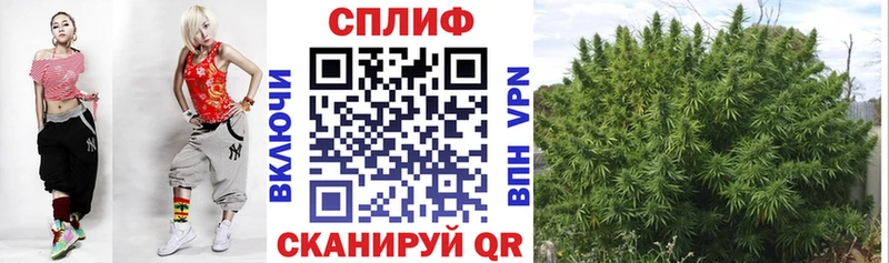 Бошки Шишки AK-47  Плавск 